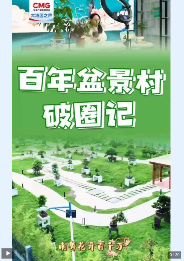 涵乔财富 勇立潮头大湾区丨百年盆景村破圈记_大皖新闻 | 安徽网