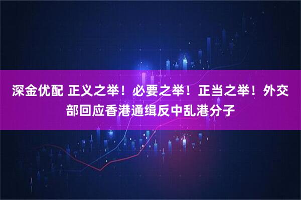 深金优配 正义之举！必要之举！正当之举！外交部回应香港通缉反中乱港分子