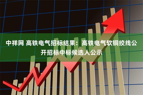 中祥网 高铁电气招标结果：高铁电气软铜绞线公开招标中标候选人公示