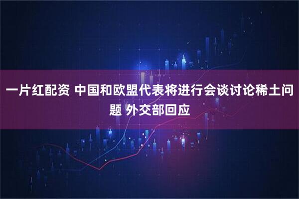 一片红配资 中国和欧盟代表将进行会谈讨论稀土问题 外交部回应